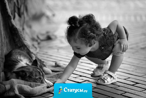 Что бы ни творилось в мире, всё равно останутся вечные ценности: милосердие, добро, любовь — всё то, что помогает выжить всему человечеству и каждому человеку в отдельности.