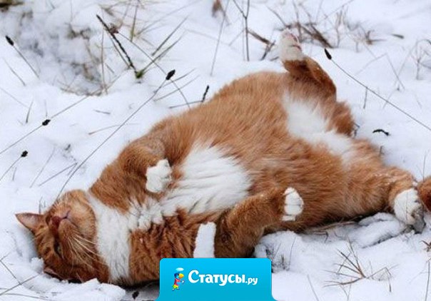 Никто не говорит, что будет легко, но в конце ты будешь благодарен себе за то, что прошел через все это.