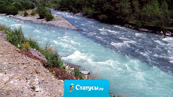 На границе двух водных миров. Это потрясающе!