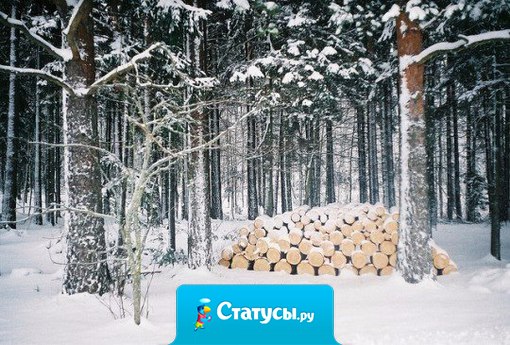 Зима для того и создана в белых тонах, что бы начинать свою жизнь с белого листа.