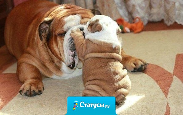 Мама спит, она устала...  Хватит притворяться, мама!!!