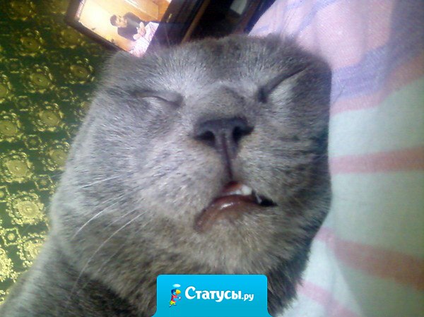 Каждый раз, когда я просыпаюсь, я вижу это. Я думаю, что не нужно объяснять почему я всё утро хожу и ржу.