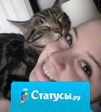 Домашние любимцы, которые знают толк в самых удобных подушках.
