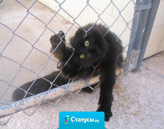 Коротко о том, как я решаю проблемы.