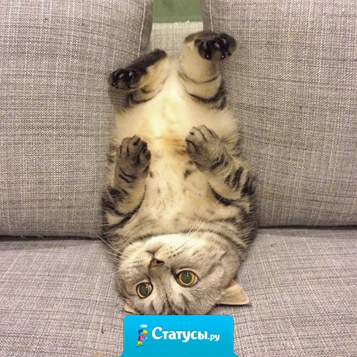 Это я пытаюсь взглянуть на проблему под другим углом.