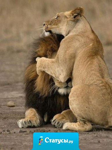 И создал Бог женщину… И нет покоя ни мужчине, ни Богу…!