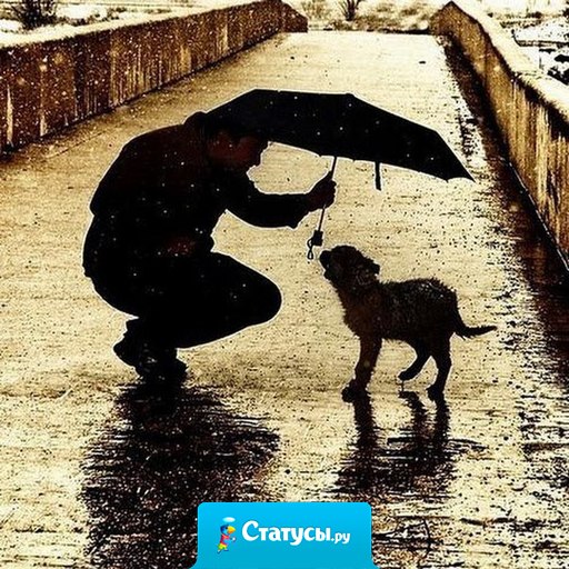 Ум богатеет от того, что он получает. Сердце - от того, что оно отдаёт.