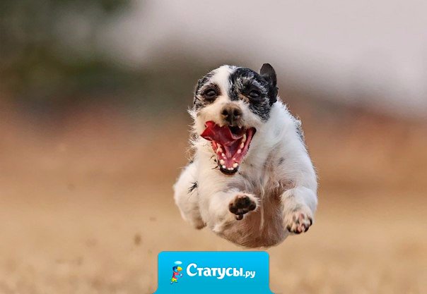 Вот так надо стремиться к цели.