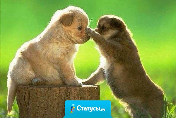 Другом является такой человек, с которым я могу быть искренним. В его присутствии я могу думать вслух.