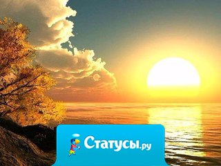 Иногда вовремя сделанные шаги меняют походку всей жизни.