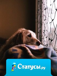 Есть только один самый верный способ слышать много добрых слов — это произносить их самому.