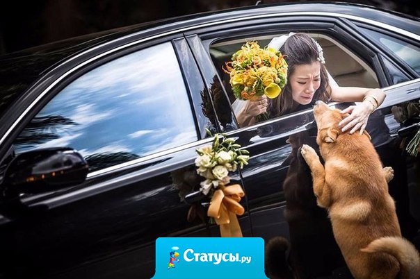 Ты же говорила, что любишь меня одного.