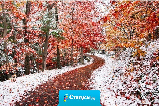 Осень и зима слились воедино.