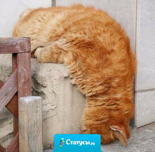 Высшая степень лени выглядит так.