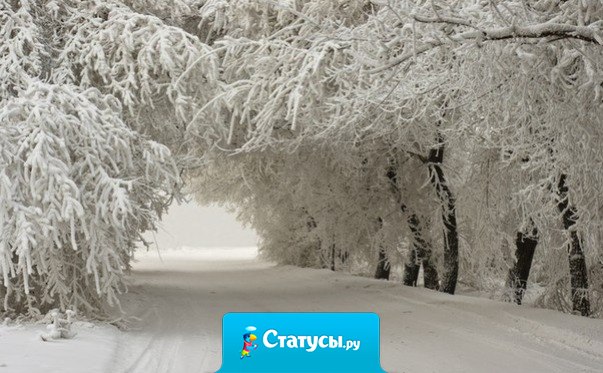 Хочу именно такой зимы на Новый год!