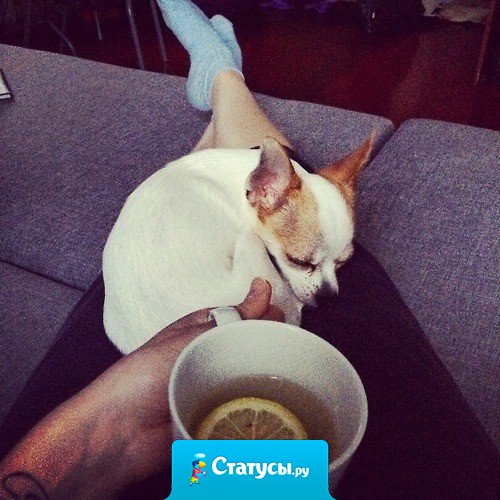 Даже болеть приятно, когда знаешь, что есть люди, которые ждут твоего выздоровления, как праздника.