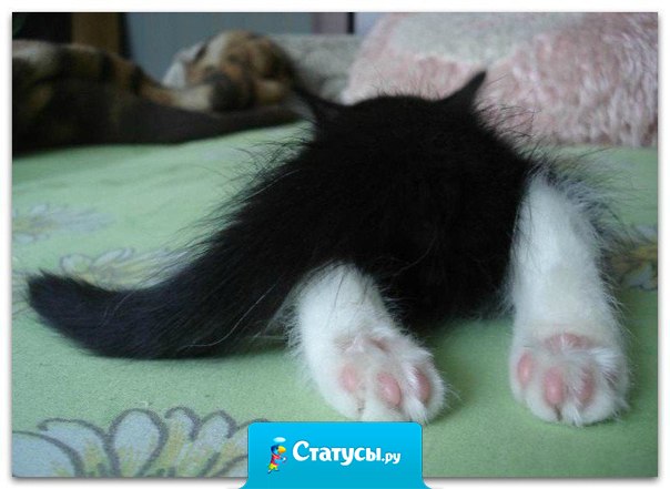 Я после работы.