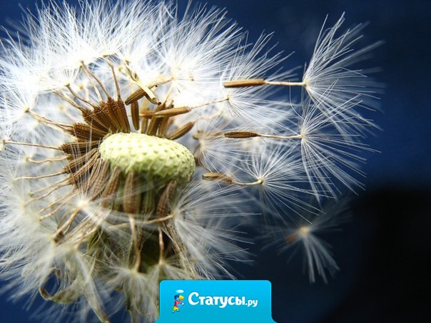 Любые перемены несут в себе новые возможности.