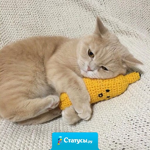 Настроение: обнять вязанный банан и грустить.