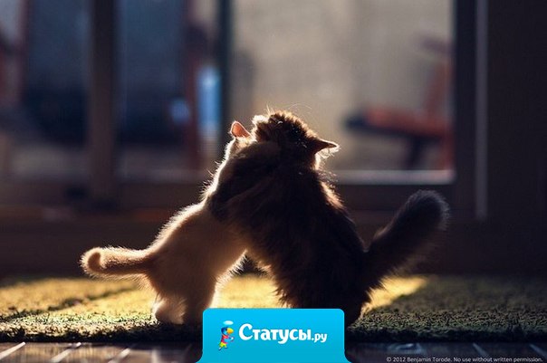 Счастье это когда ты нашел того, кто искал тебя.