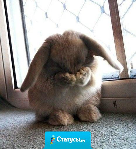 Женская логика: «Я знаю, что виновата... но я обиделась!...