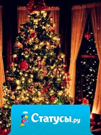 Я знаю, что Деда Мороза не существует, но это мне не мешает все так же загадывать желания на новый год и верить в чудо.