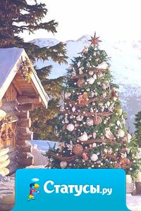 Чудеса всегда случаются вопреки всему. Чем более вопреки, тем чудеснее чудо...