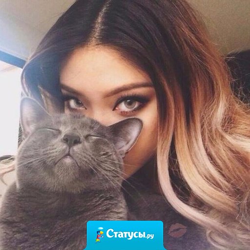 Женщину нужно любить как кошку. Ласкать, баловать и вообще радоваться, что домой пришла.