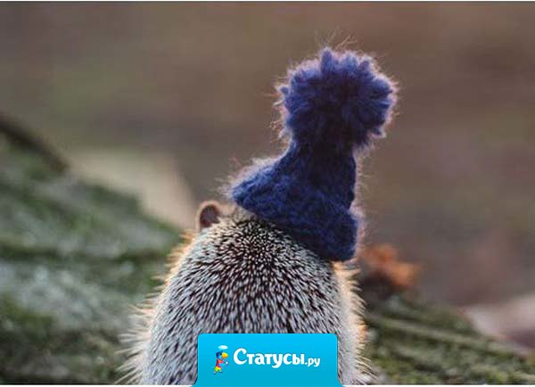 Вот и снова пришло то время года, когда твоя шапка решает, какая у тебя будет прическа.