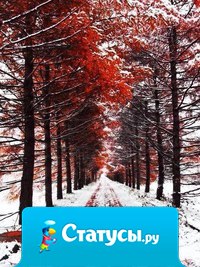 Удивительная встреча уходящей осени с наступающей зимой...