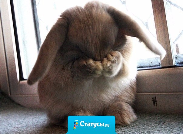 Когда вы видите у меня грустные статусы - значит... дома нет конфет! 