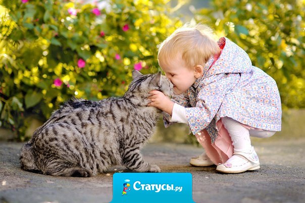 О характере человека можно судить по тому, как он ведет себя с теми, кто ничем не может быть ему полезен, а также с теми, кто не может дать ему сдачи...