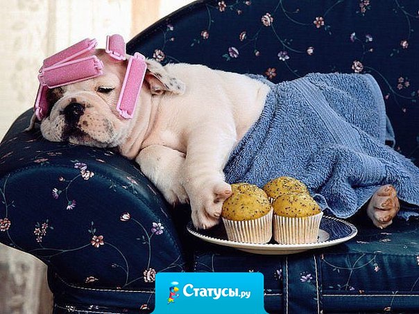 Интересный у меня возраст, непредсказуемый - то влюбиться хочется, то на пенсию...