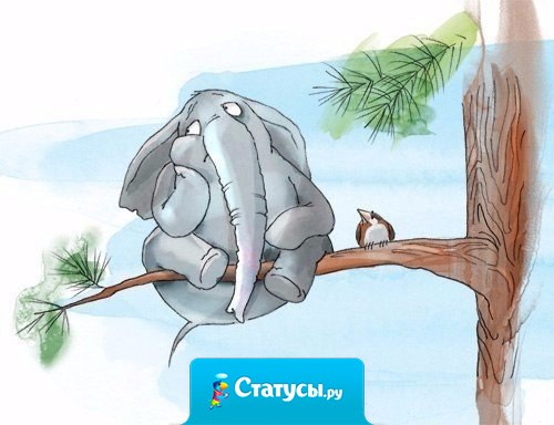 Чудес, как водится, не случается, но их ожидание согревает.