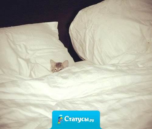 А я тебе постельку грею! 