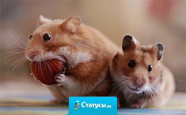 Главное до 18:00 успеть!