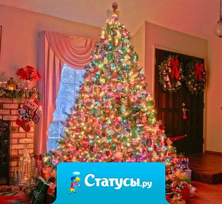 Очень хочется, чтоб в Новом году люди, наконец-то,научились слышать друг-друга, избавились от ненужных ссор и споров, а на лицах чаще сияла улыбка, а не озлобленность...