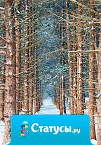 Желаю вам найти дорогу туда, где не обманывают, ценят, уважают, любят, где кругом счастье, а главное туда, где всё взаимно!