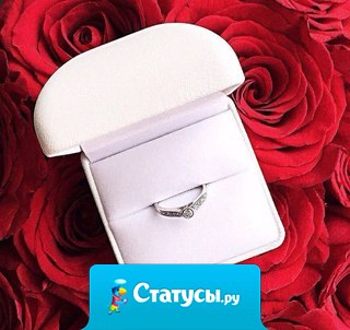 Счастье не имеет рецепта... Каждый готовит его с ароматом собственных ощущений!