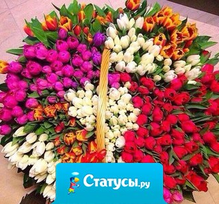 Мысли, которые мы выбираем, подобны краскам, которыми мы пишем на холсте своей Жизни.  Думайте красиво!