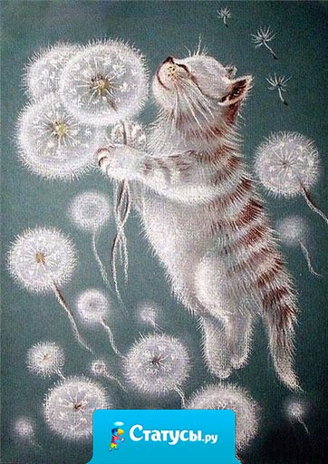 На свете нет ничего невозможного — дело только в том, хватит ли у тебя храбрости.