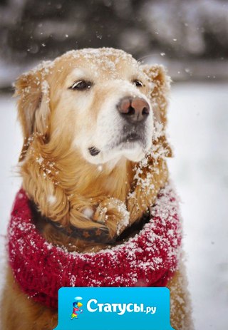 Я очень ценю две вещи - душевную близость и способность доставлять радость.