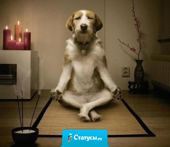 Если будешь ходить с серьезным лицом, отпугнешь всю хорошую энергию. Медитировать нужно улыбаясь. Улыбайся лицом, улыбайся разумом — и положительная энергия сама придет и вымоет всё негативное. Пусть улыбается всё внутри тебя. 