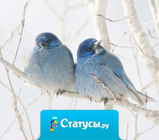 Подставляйте солнышку ладошки, собирайте лучики в карман, а затем, с любовью, понемножку, раздавайте близким и друзьям.