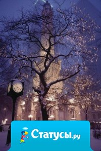 Пусть наступающий декабрь подарит вам истинное счастье!