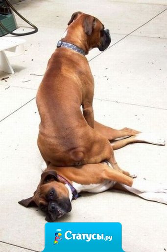 Иногда счастье сваливается так неожиданно, что не успеваешь отскочить в сторону!