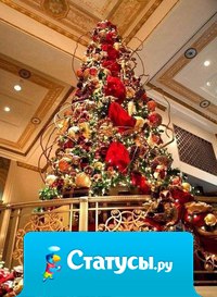 Хочу, чтобы в Новый год Дед Мороз под ёлку положил 3 подарка - Счастье в дом, Любовь в семью, Здоровье близким.