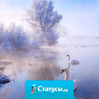 В самом сердце зимы таится трепет весны, а под покровом каждой ночи нас ждет улыбка рассвета...