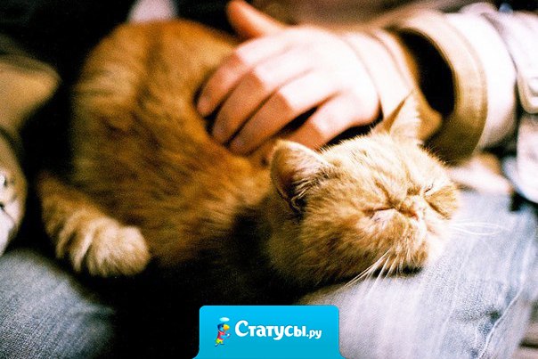 Я вообще животных люблю. Кто-то кошек там любит, то ли собак, а я всех люблю без разбора. Людей только не люблю. Надоели, сука. Носятся и бегают, агрессивные какие-то.