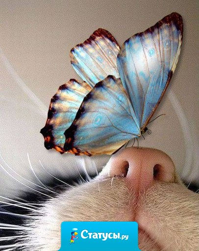 Если заменить для себя слово «проблема» на слово «приключение», то жить становится гораздо проще и интереснее.